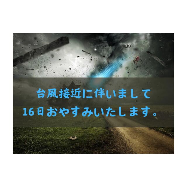 イミラック・パラサイト隕石の「最強のパワー」とは？ 隕石直売所 Bigbang 横浜中華街店